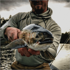 trophy-troutfitters-fly-fishing-oregon-06 Medium Man holding trophy sized Redband Trout